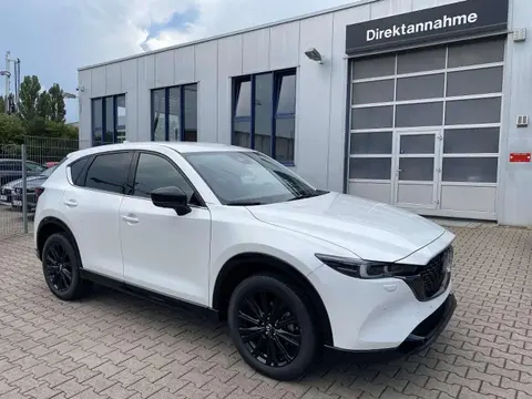 Annonce MAZDA CX-5 Diesel 2024 d'occasion 