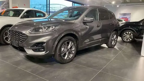 Used FORD KUGA Hybrid 2024 Ad 