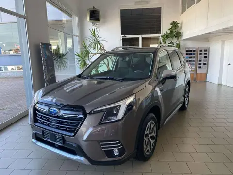 Annonce SUBARU FORESTER Hybride 2024 d'occasion 