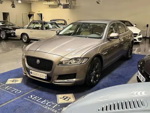 Annonce JAGUAR XF Diesel 2016 d'occasion 