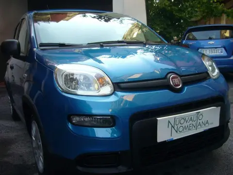 Used FIAT PANDA Hybrid 2024 Ad 