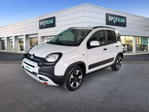 Annonce FIAT PANDA Essence 2024 d'occasion 