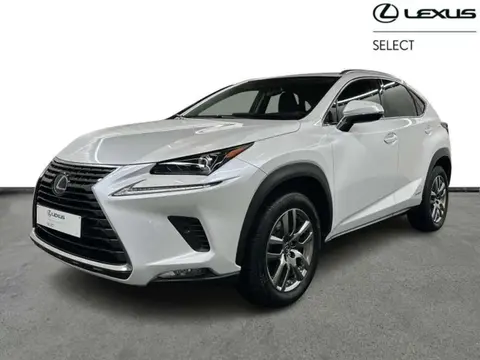 Annonce LEXUS NX Hybride 2021 d'occasion 