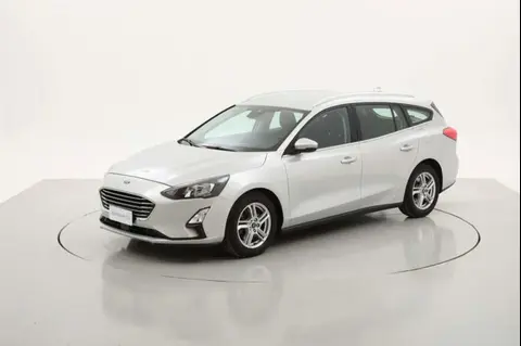 Used FORD FOCUS Diesel 2020 Ad 