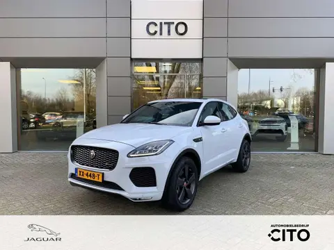 Used JAGUAR E-PACE Petrol 2019 Ad 