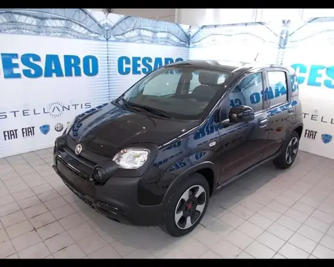 Used FIAT PANDA Hybrid 2023 Ad 