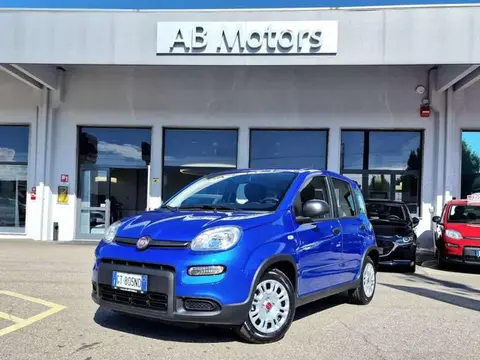 Used FIAT PANDA Hybrid 2024 Ad 