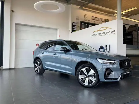 Annonce VOLVO XC60 Hybride 2023 d'occasion 