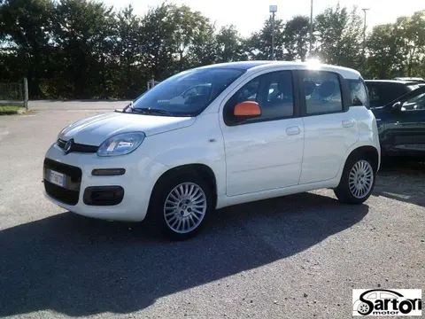 Annonce FIAT PANDA Essence 2019 d'occasion 