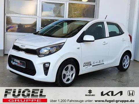 Used KIA PICANTO Petrol 2024 Ad 