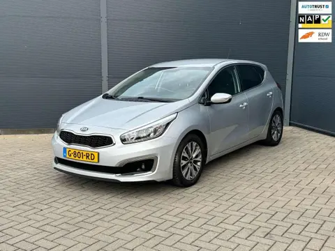 Used KIA CEED Petrol 2017 Ad 