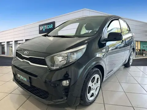 Annonce KIA PICANTO Essence 2019 d'occasion 