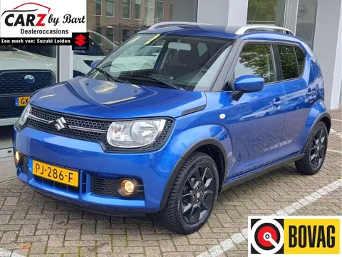 Used SUZUKI IGNIS Petrol 2017 Ad 