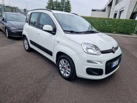 Used FIAT PANDA Petrol 2019 Ad 