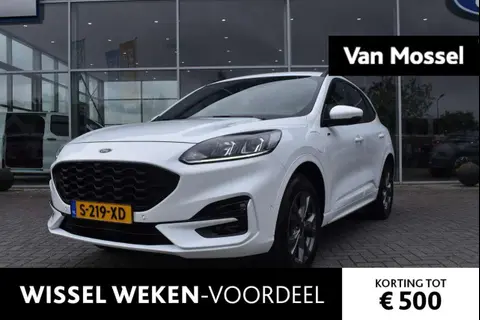 Annonce FORD KUGA Hybride 2023 d'occasion 