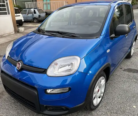 Used FIAT PANDA Hybrid 2024 Ad 