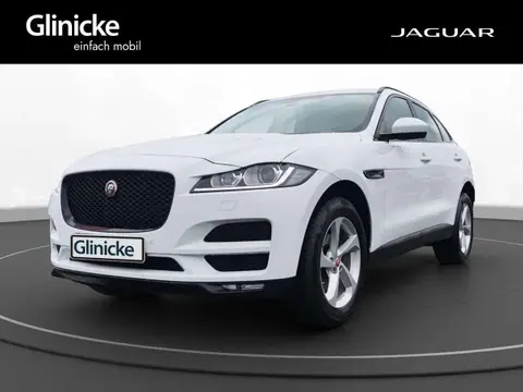 Used JAGUAR F-PACE Diesel 2019 Ad 