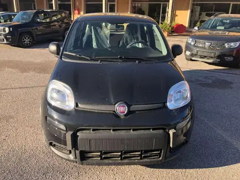 Used FIAT PANDA Hybrid 2024 Ad 