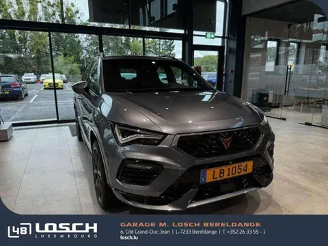 Annonce CUPRA ATECA Essence 2024 d'occasion 