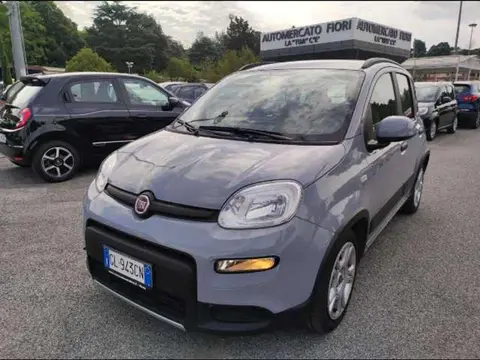 Annonce FIAT PANDA Hybride 2022 d'occasion 