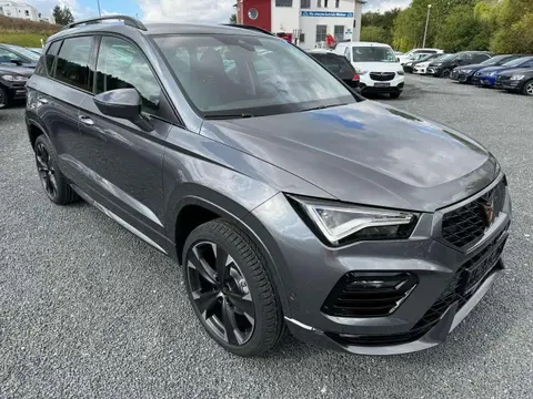 Used CUPRA ATECA Petrol 2024 Ad 