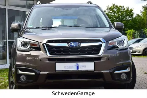 Used SUBARU FORESTER Petrol 2019 Ad 