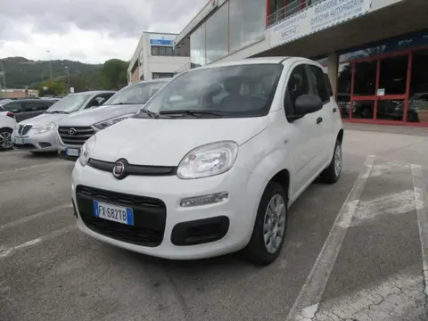 Annonce FIAT PANDA  2019 d'occasion 