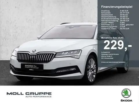 Annonce SKODA SUPERB Diesel 2024 d'occasion 