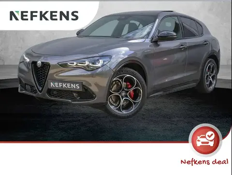 Used ALFA ROMEO STELVIO Petrol 2023 Ad 