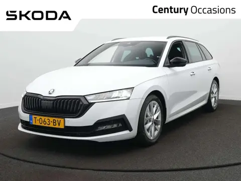 Annonce SKODA OCTAVIA Essence 2023 d'occasion 