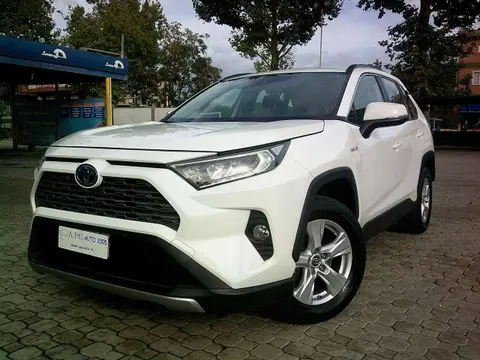 Annonce TOYOTA RAV4 Hybride 2020 d'occasion 