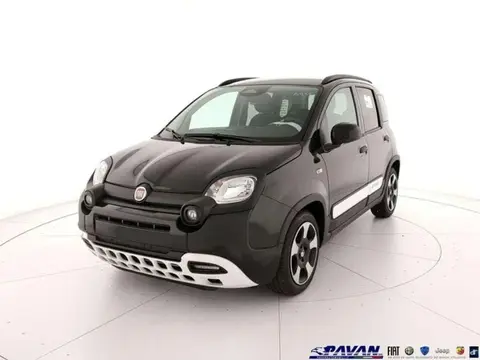 Annonce FIAT PANDA Hybride 2024 d'occasion 