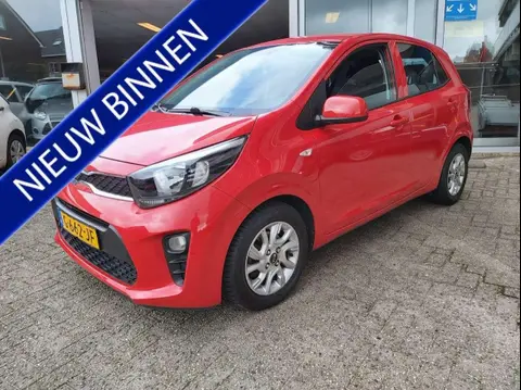 Used KIA PICANTO Petrol 2019 Ad 