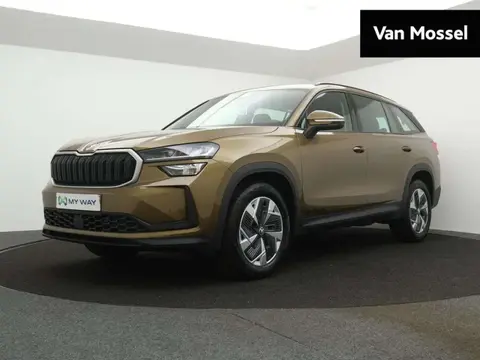 Used SKODA KODIAQ Petrol 2024 Ad 