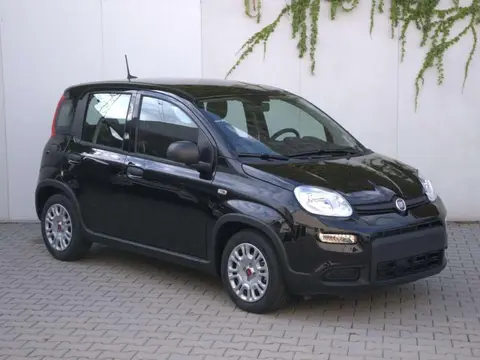 Annonce FIAT PANDA Hybride 2024 d'occasion 