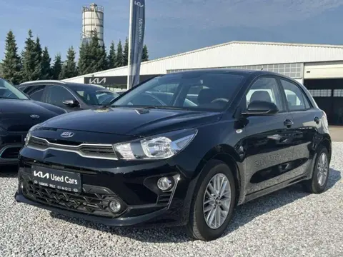 Used KIA RIO Petrol 2020 Ad Belgium