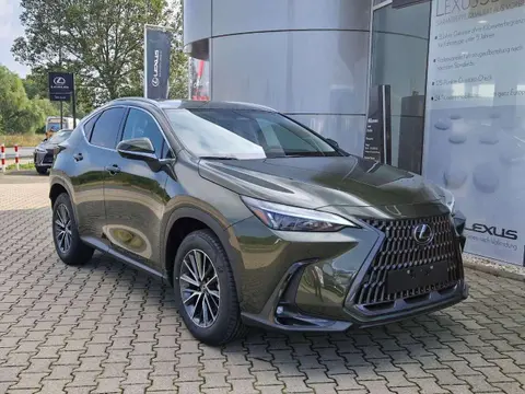 Annonce LEXUS NX Hybride 2024 d'occasion 