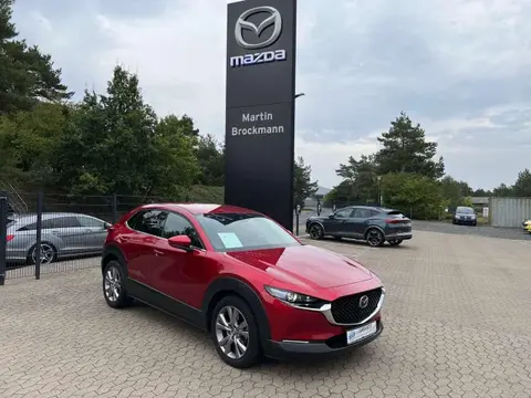 Annonce MAZDA CX-30 Essence 2020 d'occasion 