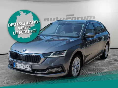 Annonce SKODA OCTAVIA Essence 2024 d'occasion 