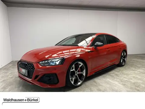 Annonce AUDI RS5 Essence 2024 d'occasion 