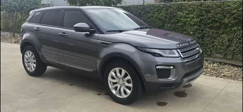 Annonce LAND ROVER RANGE ROVER EVOQUE Diesel 2017 d'occasion 