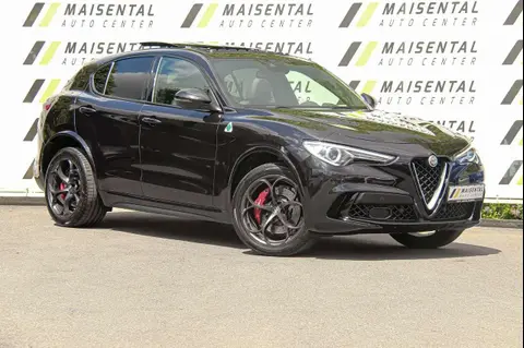 Used ALFA ROMEO STELVIO Petrol 2019 Ad 