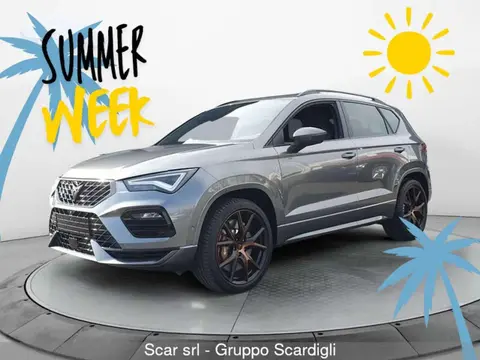 Annonce CUPRA ATECA Essence 2023 d'occasion 