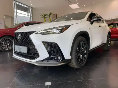 Used LEXUS NX Hybrid 2023 Ad 