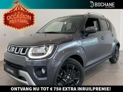 Used SUZUKI IGNIS Hybrid 2021 Ad 