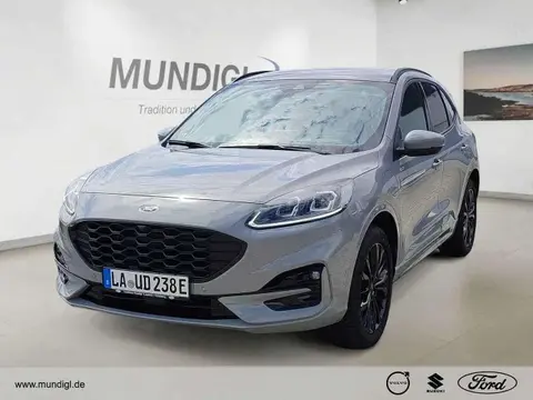 Annonce FORD KUGA Hybride 2024 d'occasion 