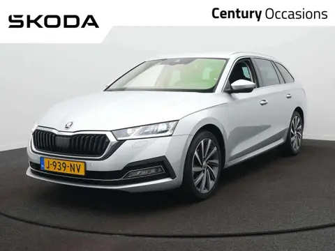 Used SKODA OCTAVIA Petrol 2020 Ad 