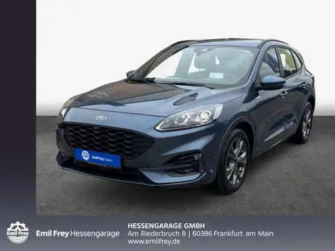 Annonce FORD KUGA Diesel 2023 d'occasion 