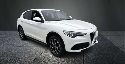 Used ALFA ROMEO STELVIO Diesel 2020 Ad 