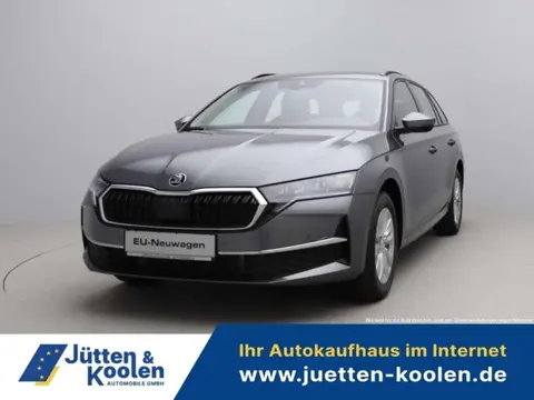 Used SKODA OCTAVIA Hybrid 2024 Ad 